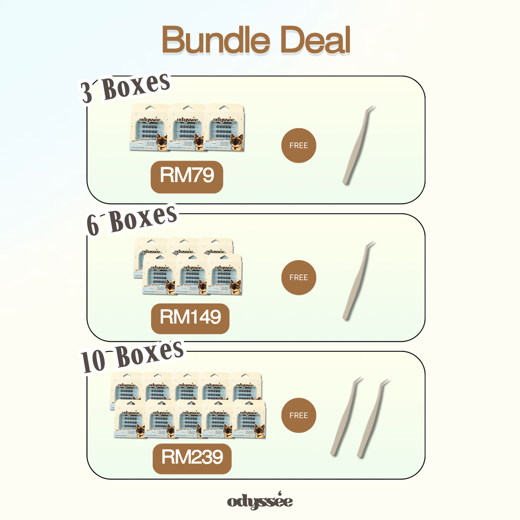 Odyssee Eyelashes - Small box | Bundle